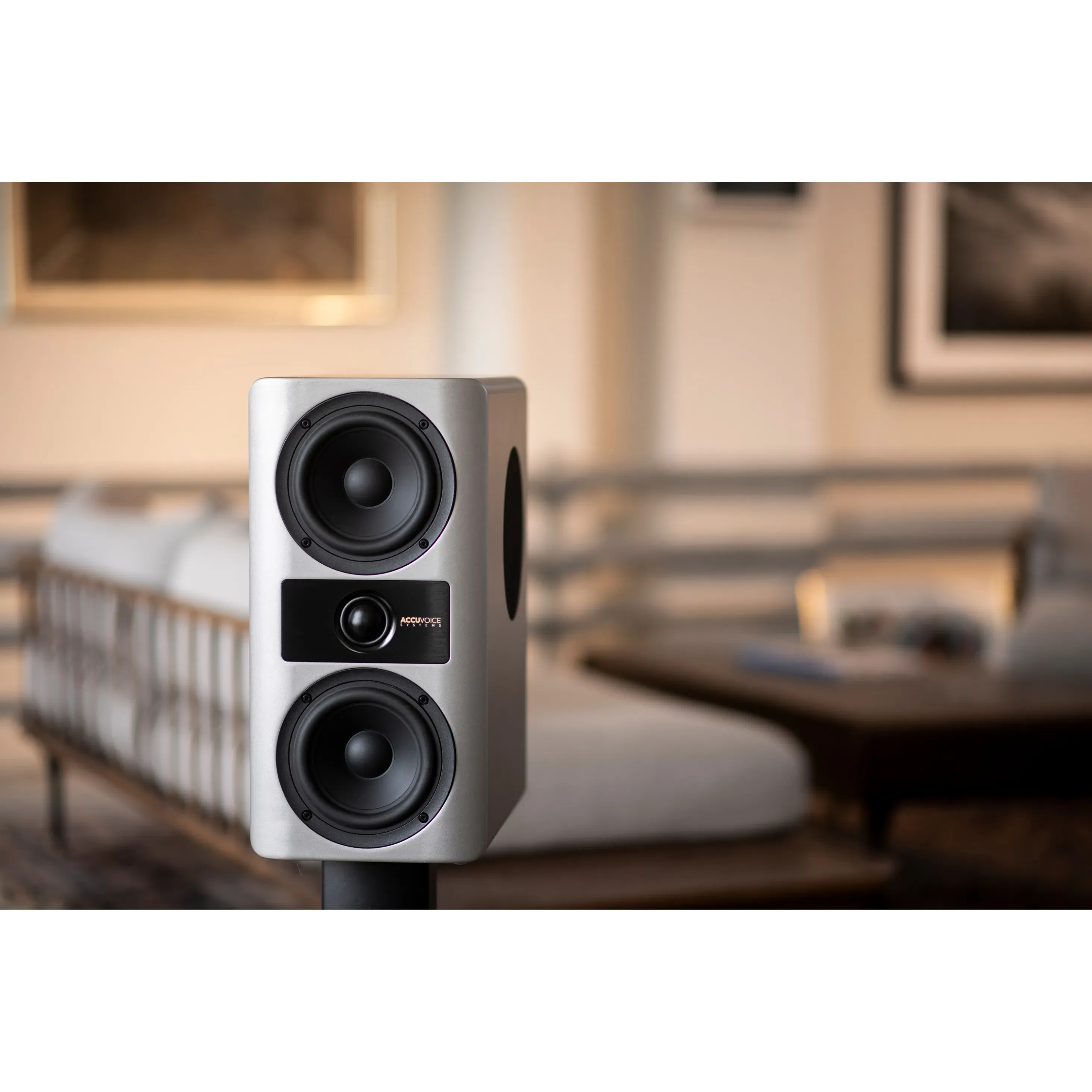 Accuvoice Stream S3 High-End Wireless Active Speaker System - Image 5