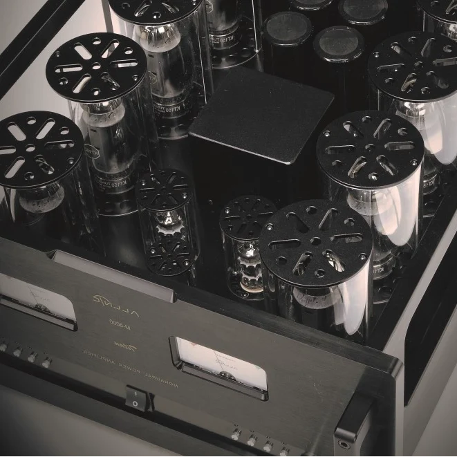 Allnic M-5000 Titan Power Amplifier