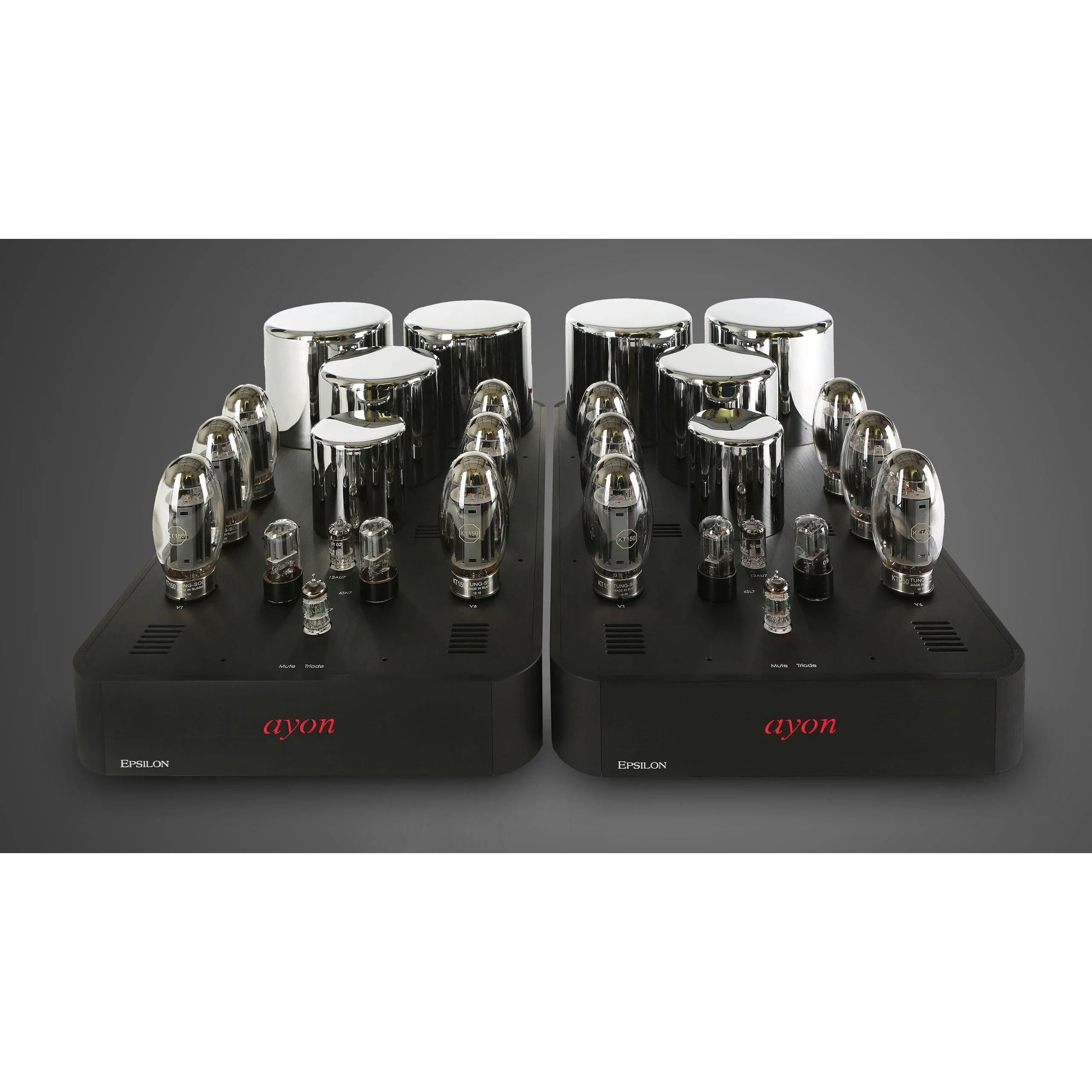 Ayon Audio Epsilon Evo Mono-Power Amplifier