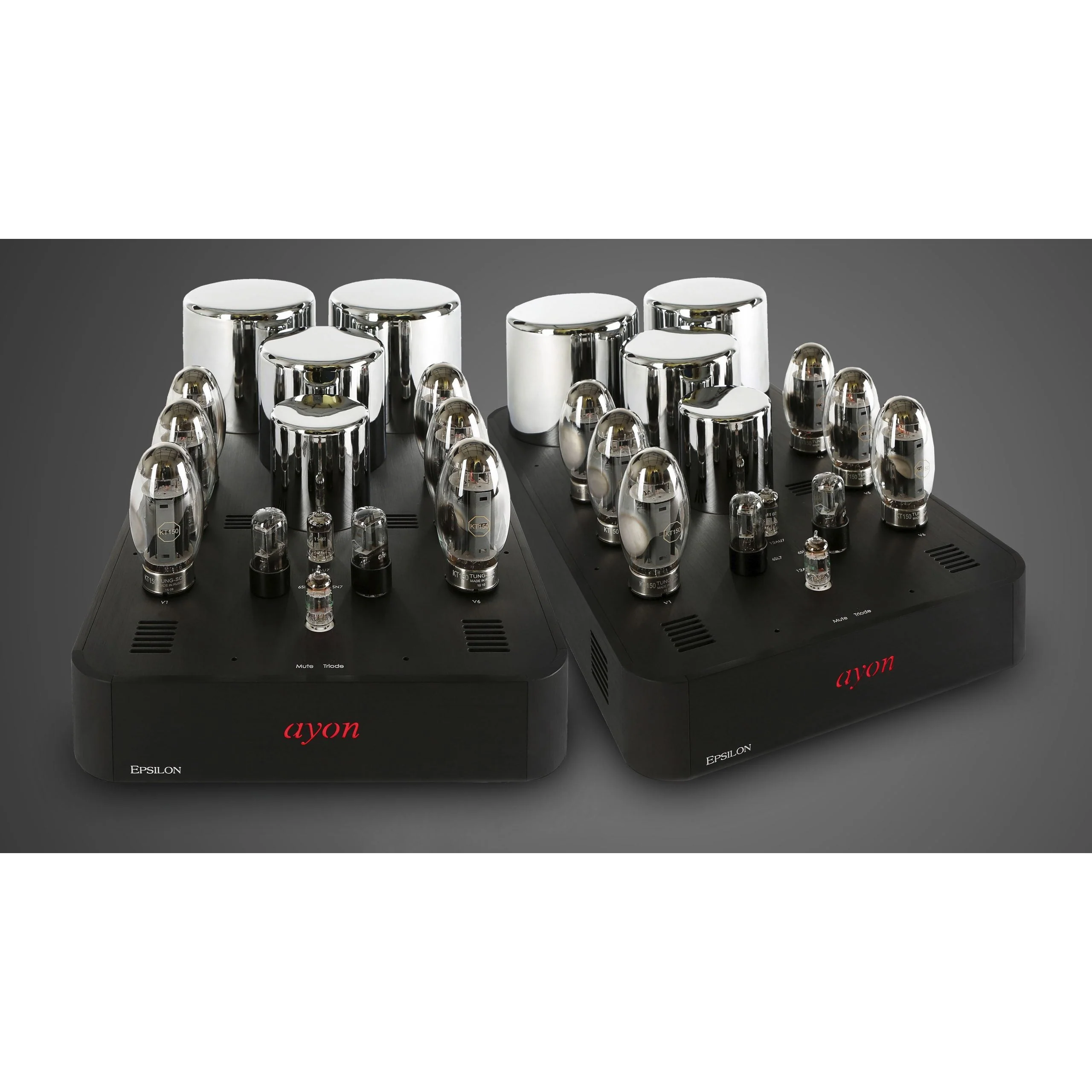 Ayon Audio Epsilon Evo Mono-Power Amplifier - Image 2