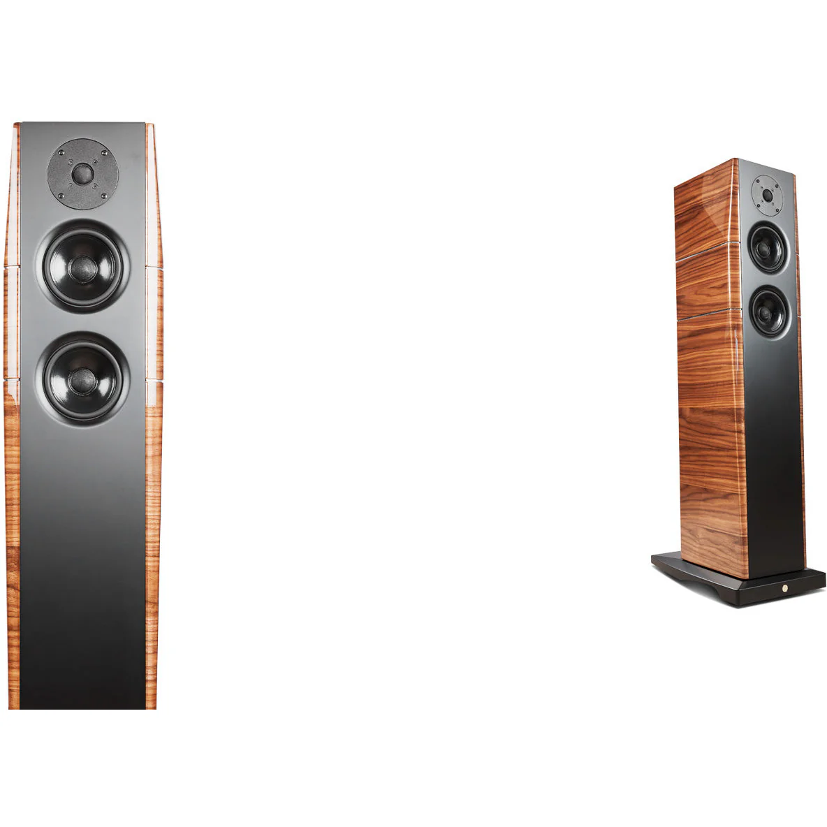 Gold Note A6  EVO II Speakers - Image 10