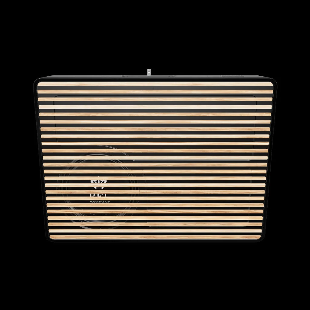 Rel Planar PL-2 Subwoofer - Image 3