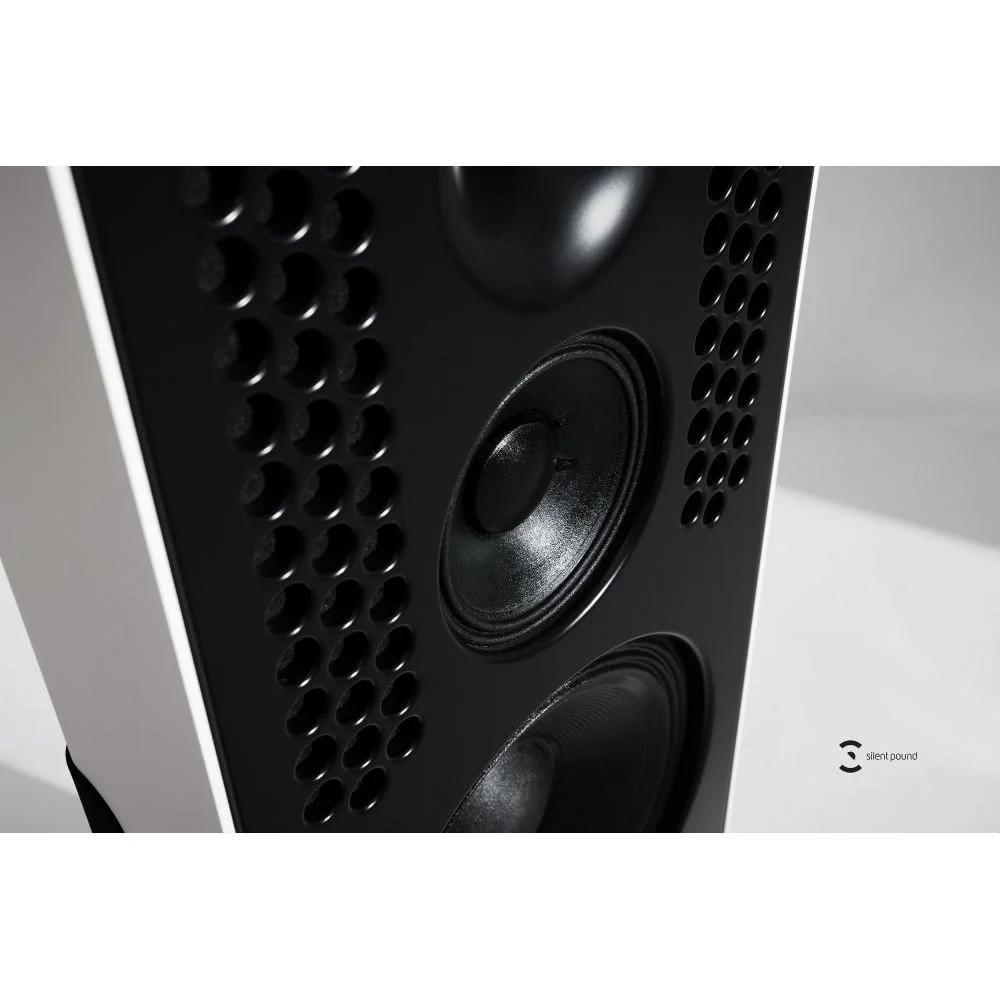 Silent Pound Challenger II Loudspeakers - Image 11