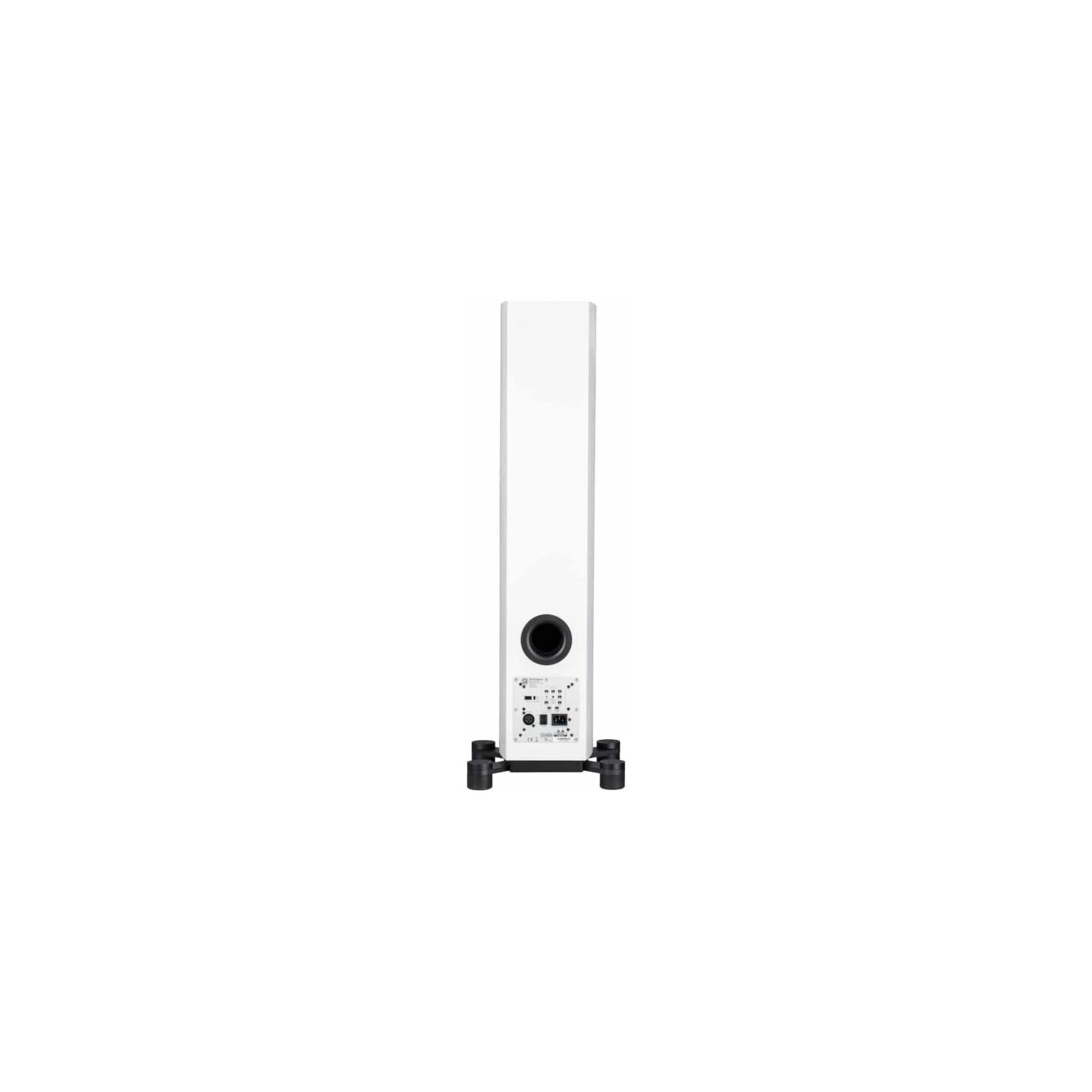 System Audio SA Legend 40.2 Silverback Active Floorstanders - Image 5