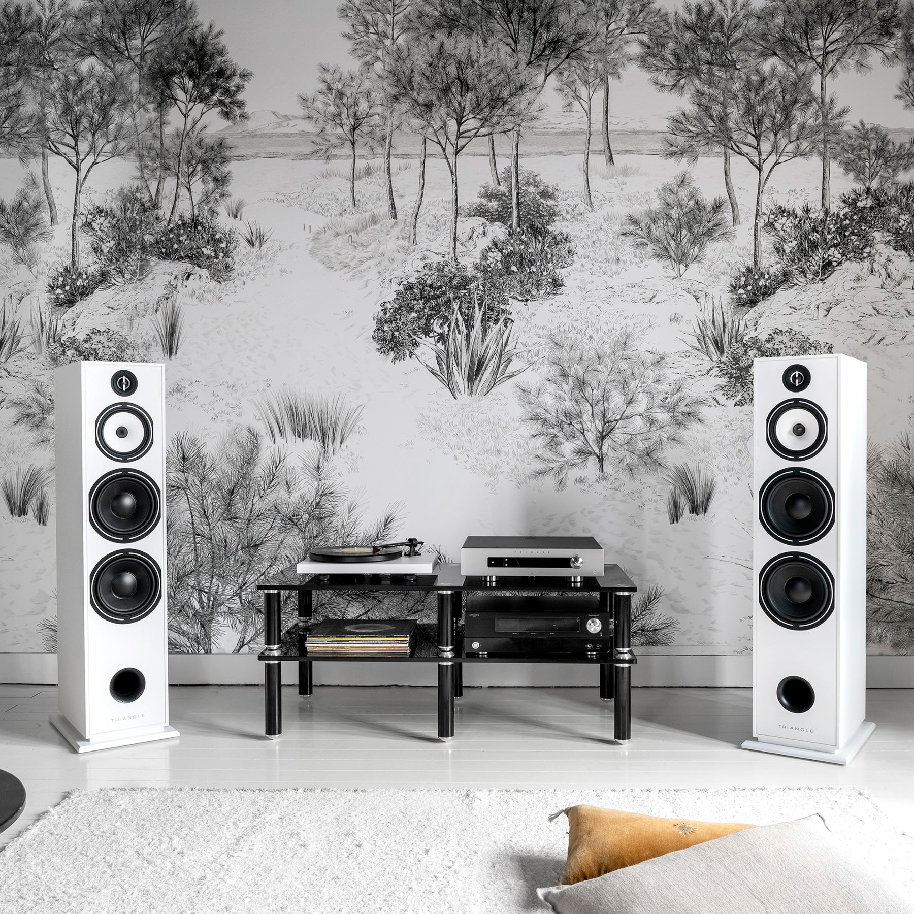 Triangle Borea BR10 Floorstanding Speaker - Image 19
